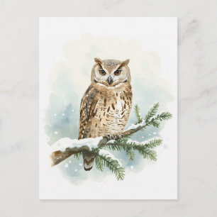 Cartão Postal De Festividades Coruja em Aquarela no Galho de Pinheiro Nevado