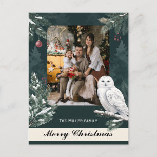 Cartão Postal De Festividades Coruja Nevada Majestosa Foto Personalizada Natal