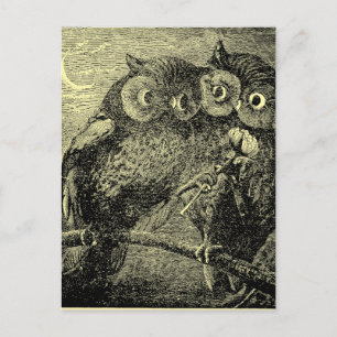 Cartão Postal De Festividades Corujas Engraçadas da Era Vitoriana com Flor de Sã