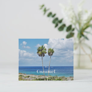 Cartão Postal De Festividades Cozumel, ilha mexicana,
