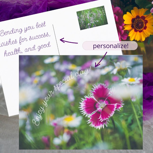 Cartão Postal De Festividades Cravo rosa com margaridas (Criador carregado)