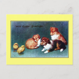 Cartão Postal De Festividades Cumprimentos 1906 da páscoa do vintage; filhotes