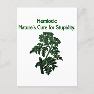 Cartão Postal De Festividades Cura para o Hemlock Plant Dark Humor estúpido