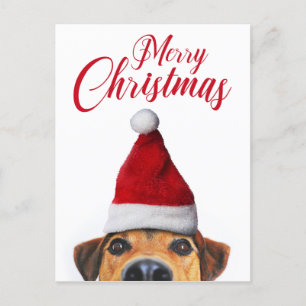 Cartão Postal De Festividades Curioso Cachorro Engraçado com Papai Noel