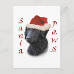Cartão Postal De Festividades Curly-Coated Retriever Santa Paws