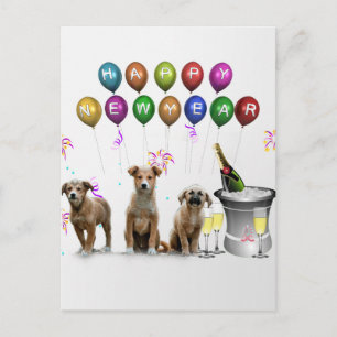 Cartão Postal De Festividades Cute Three Dogs Wishing Happy New Year 2016