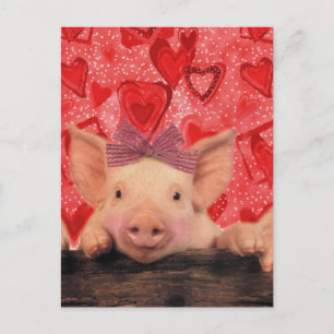 Cartão Postal De Festividades Cute Valentine pigs