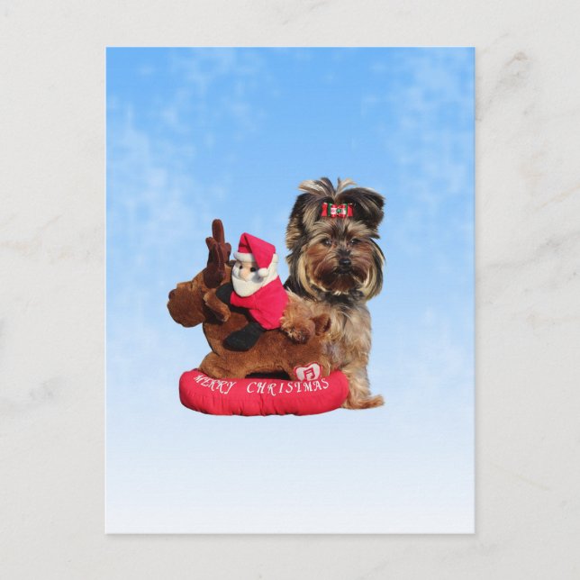 Cartão Postal De Festividades Cute Yorkshire Terrier Felry Natal (Frente)