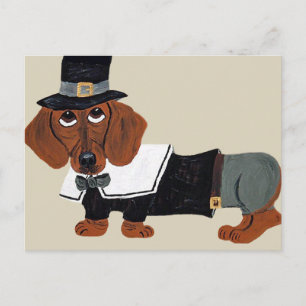 Cartão Postal De Festividades Dachshund Ação de Graças Pilgrim