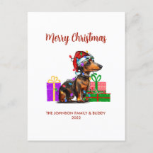 Dachshund e Luzes de Natal