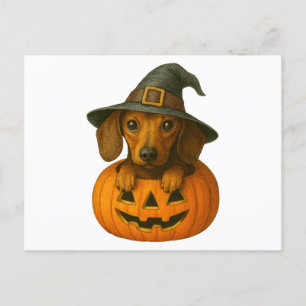 Cartão Postal De Festividades Dachshund em Pumpkin
