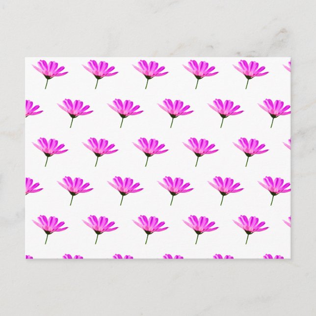 Cartão Postal De Festividades Daisy Rosa (Frente)