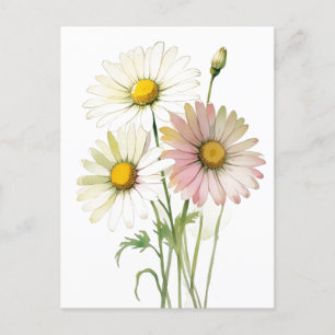 Cartão Postal De Festividades Daisy Watercolor Flower Modern Professional