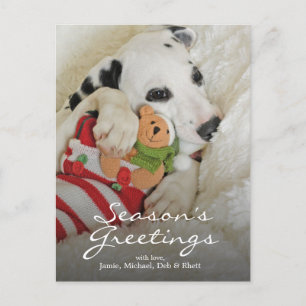 Cartão Postal De Festividades Dalmation puppy with Christmas Stocking