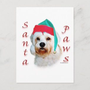 Cartão Postal De Festividades Dandie Dinmont Terrier Papais noeis Paws