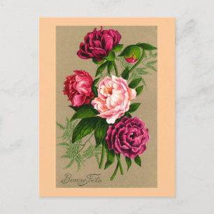 Cartão Postal De Festividades De "Natal do francês do vintage do Fete Bonne"