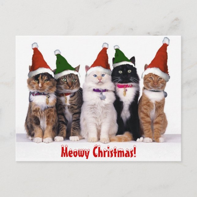Cartão Postal De Festividades De "Natal Meowy!" Gatos (Frente)