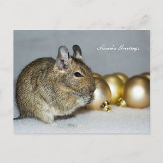 Cartão Postal De Festividades Degu & cumprimentos da estação dos Baubles