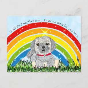 Cartão Postal De Festividades Desculpe pelo seu Loos, Memorial do Cachorro