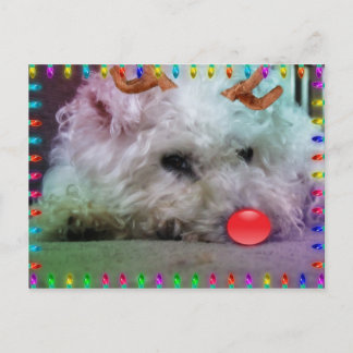 CARTÃO POSTAL DE FESTIVIDADES DESEJANDO LHE UM XMAS DA FELIZ