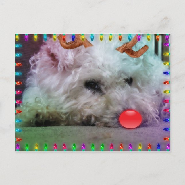 CARTÃO POSTAL DE FESTIVIDADES DESEJANDO LHE UM XMAS DA FELIZ (Frente)