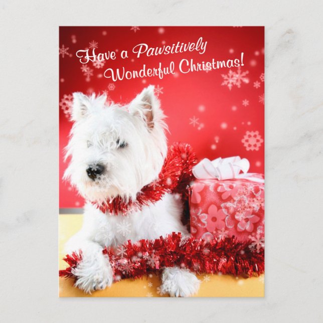 Cartão Postal De Festividades Desejos do Natal de Terrier branco de montanhas (Frente)