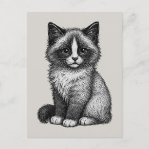 Cartão Postal De Festividades Desenho Artístico de Gatinho Ragdoll Desenhado à M