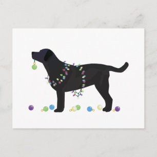 Cartão Postal De Festividades Design de Natal Merry Black Lab