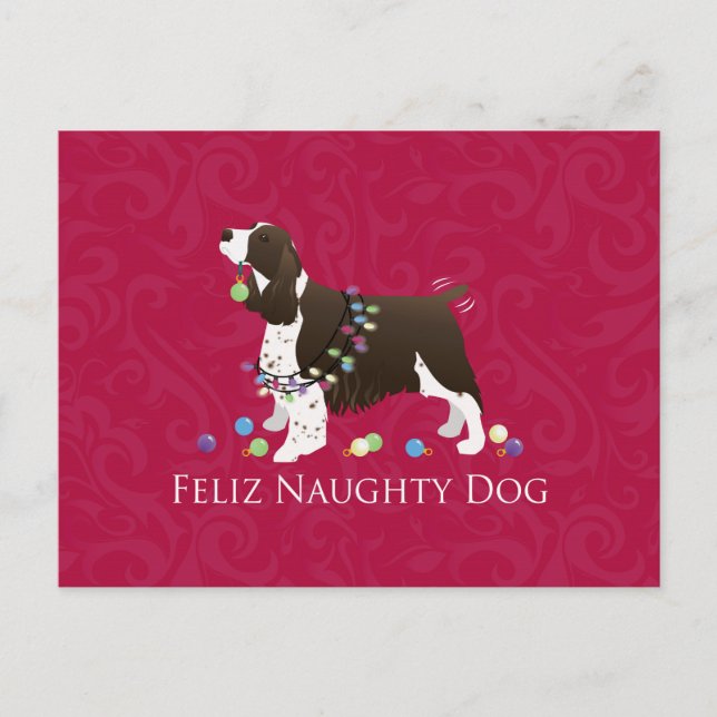 Cartão Postal De Festividades Design do Natal do Spaniel de Springer inglês (Frente)