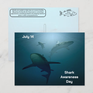 Cartão Postal De Festividades Dia da Consciência dos Tubarões - 14 de julho - Ca