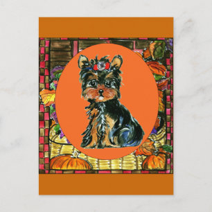 Cartão Postal De Festividades Dia de Ação de Graças Yorkie Poo