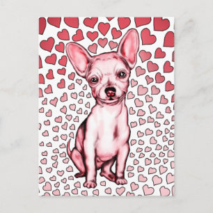 Cartão Postal De Festividades Dia de os namorados Chihuahua Pink Hearts