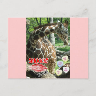 Cartão Postal De Festividades Dia de os namorados Giraffe