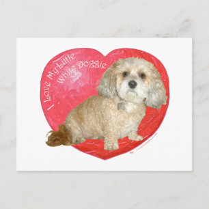 Cartão Postal De Festividades Dia dos Namorados de Shih Tzu / Poodle Mix