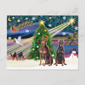 Cartão Postal De Festividades Dobermans Pinschers Christmas Magic (dois)