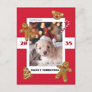 Cartão Postal De Festividades Doce foto personalizada de Natal animal de estimaç