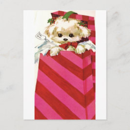 Cartão Postal De Festividades Doce Natais vintages Puppy Bichon Lhasa Maltês