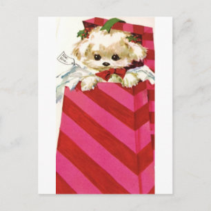 Cartão Postal De Festividades Doce Natais vintages Puppy Bichon Lhasa Maltês