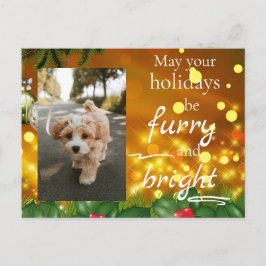 Cartão Postal De Festividades Dog Cat Pet Custom Photo Christmas Postcard Funny