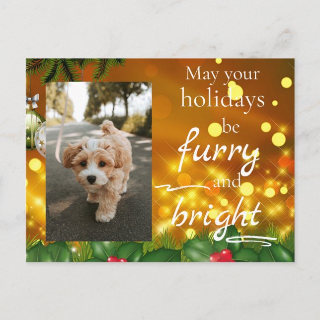 Cartão Postal De Festividades Dog Cat Pet Custom Photo Christmas Postcard Funny (Frente)