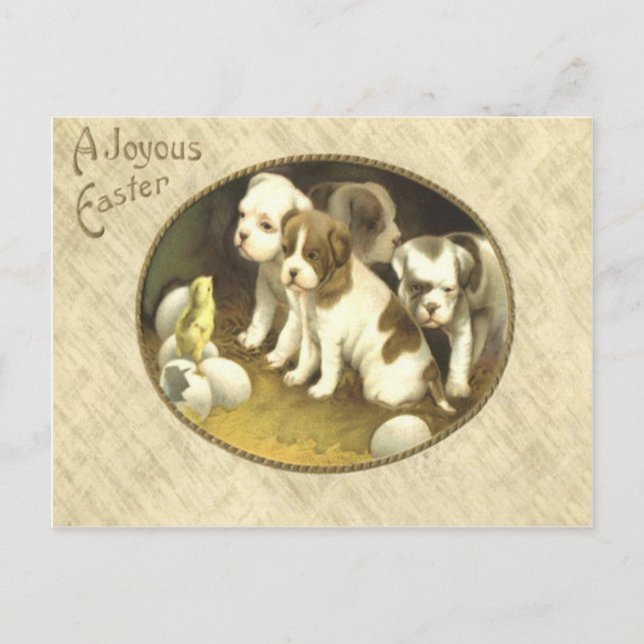 Cartão Postal De Festividades Dog Puppy Easter Chick Egg (Frente)