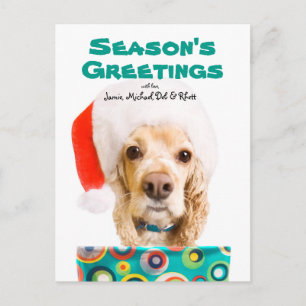 Cartão Postal De Festividades Dog wearing santa hat, holding present