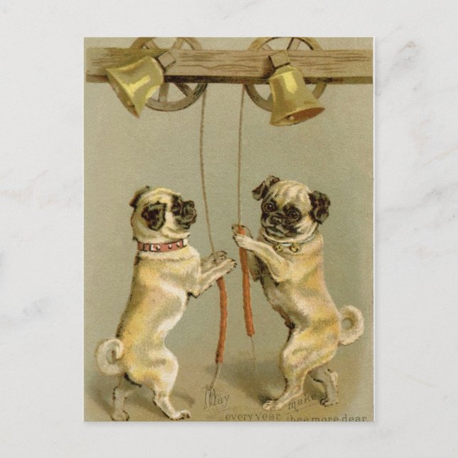 Cartão Postal De Festividades Dois cães do pug que soam os sinos de Natal (Frente)