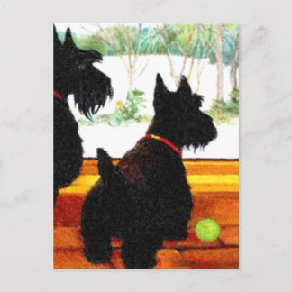 Cartão Postal De Festividades Dois cães escoceses à espera do Papai Noel