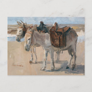 Cartão Postal De Festividades Donkeys at the Beach Postcard