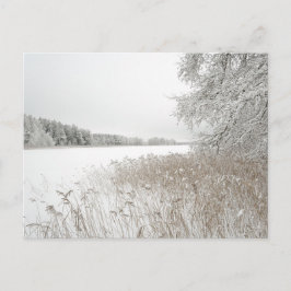 Cartão Postal De Festividades Dreamy winter lake, New Year