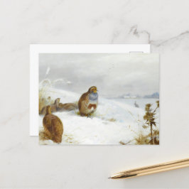 Cartão Postal De Festividades Duro de perdizes e uma lebre, Art Birds