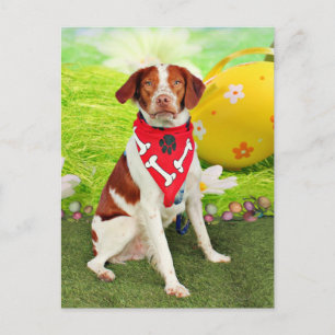 Cartão Postal De Festividades Easter - Brittany Spaniel - Elliott