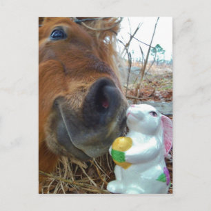 Cartão Postal De Festividades Easter Bunny and Brown horse