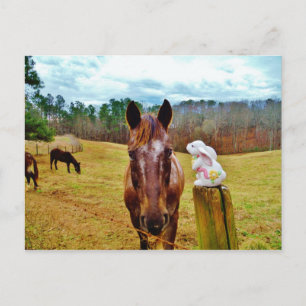Cartão Postal De Festividades Easter Bunny and Brown horse